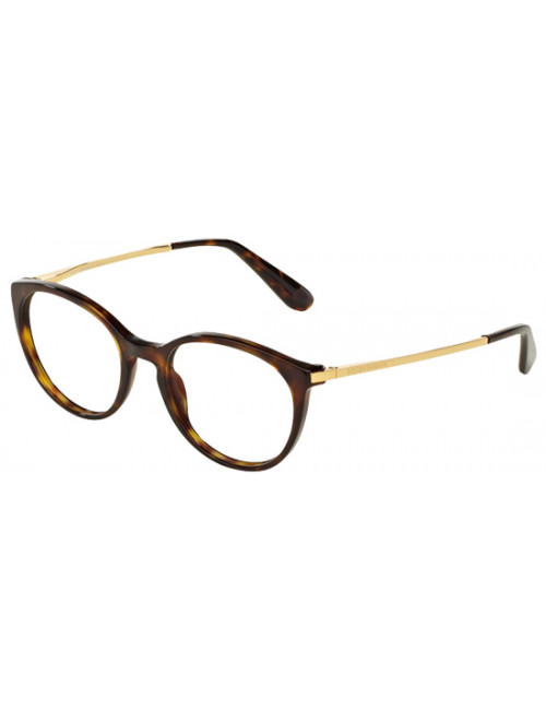 Dolce & Gabbana DG3242 502