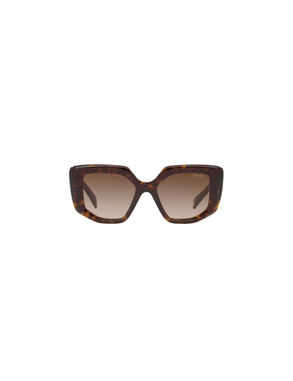 Prada PR 26ZS 55 Dark Brown & Sage/Honey Tortoise Sunglasses | Sunglass Hut  USA