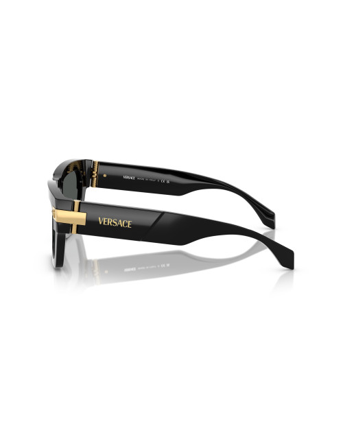 Versace VE4465 man sunglasses