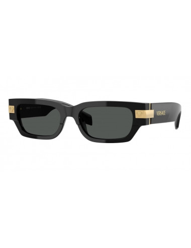 Versace VE4465 man sunglasses