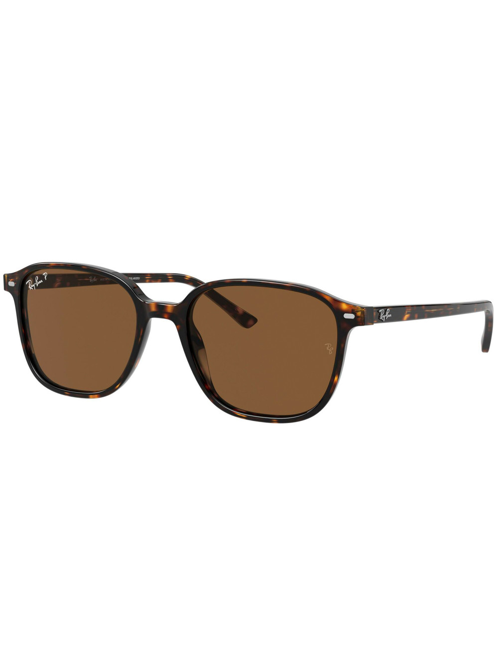 Ray Ban Leonard RB2193 902/57 polarized sunglasses 